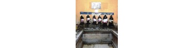 நங்கநல்லூர்